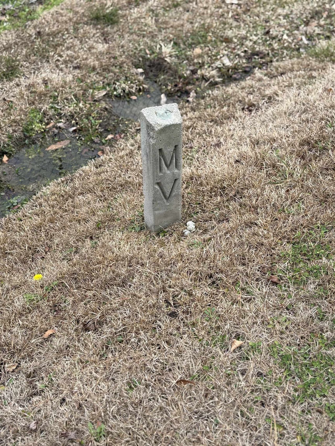 Tbd Turkey Pen Rd. Photo 5