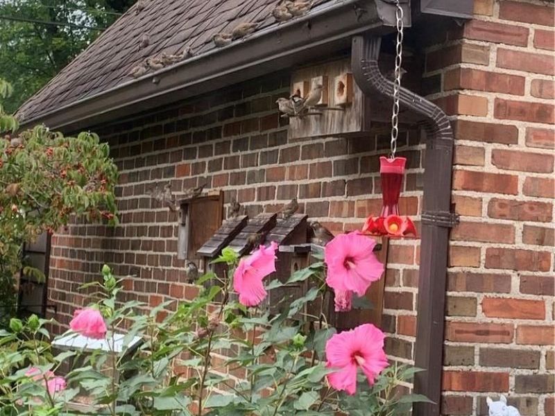 735 Tanglewood Drive, Springfield, OH 45504 Photo 67