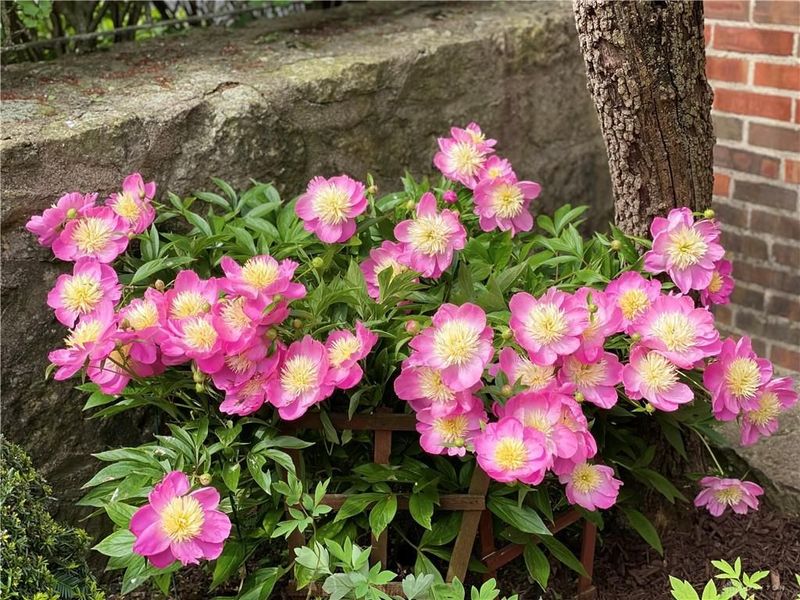 735 Tanglewood Drive, Springfield, OH 45504 Photo 70