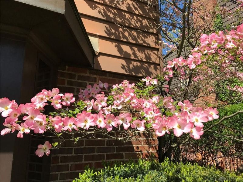 735 Tanglewood Drive, Springfield, OH 45504 Photo 71