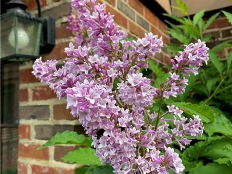 735 Tanglewood Drive, Springfield, OH 45504 Photo 75