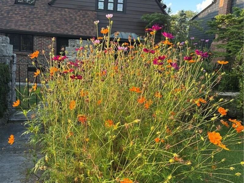 735 Tanglewood Drive, Springfield, OH 45504 Photo 80