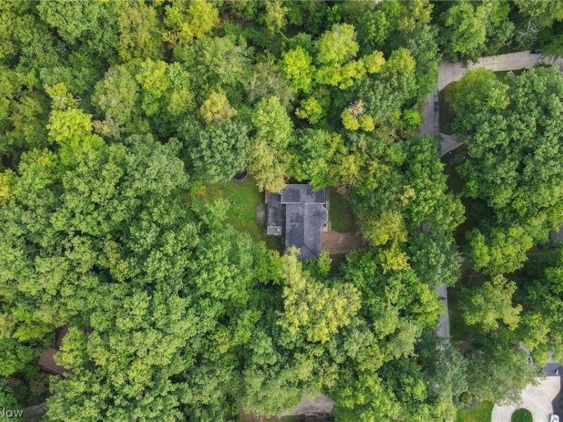 3812 Ellendale Road, Moreland Hills, OH 44022 Photo 31