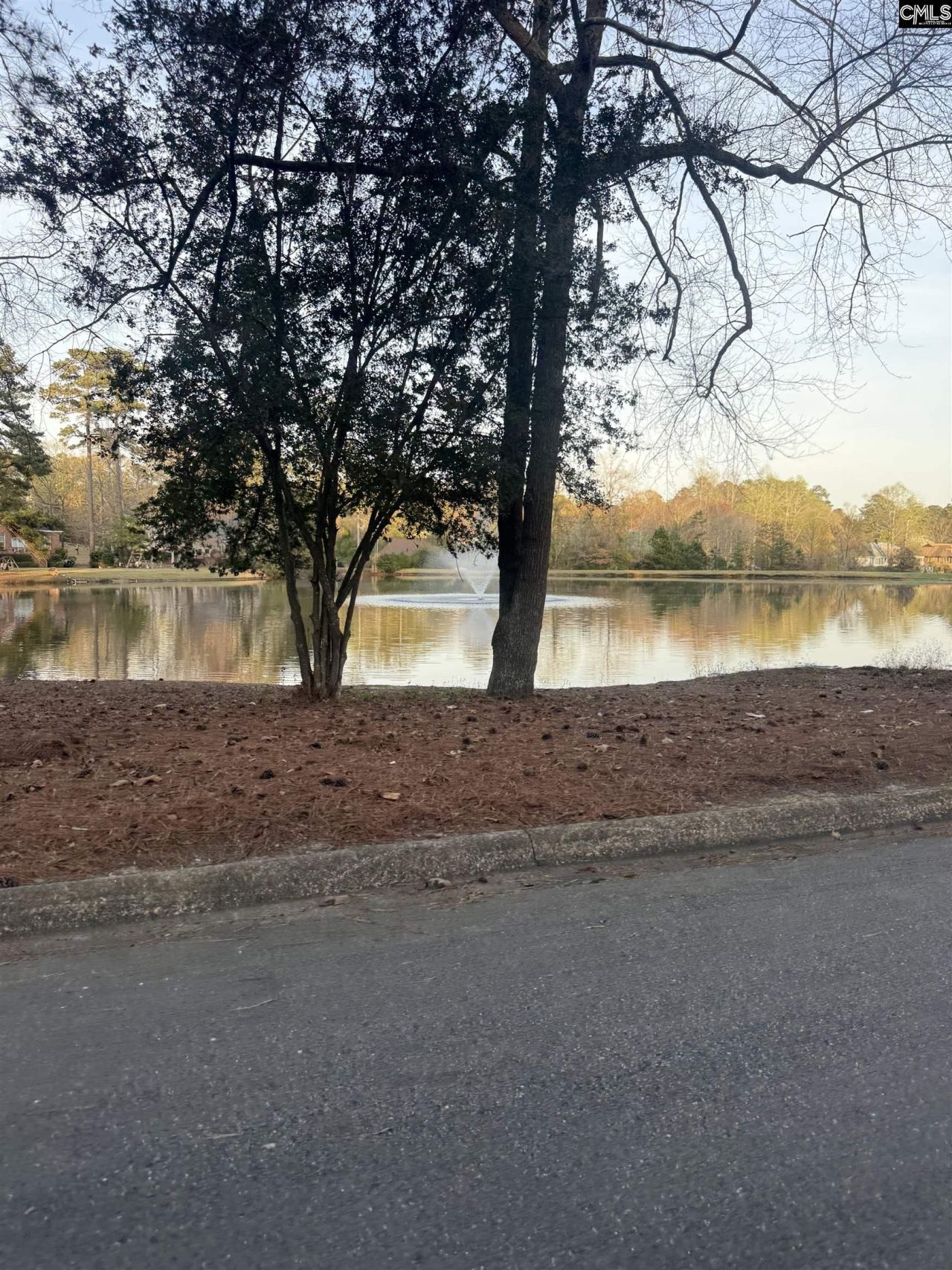 84 Ridge Lake Drive  Photo 23