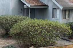 84 Ridge Lake Drive  photo 4