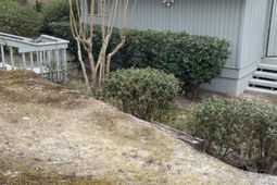 84 Ridge Lake Drive  photo 4