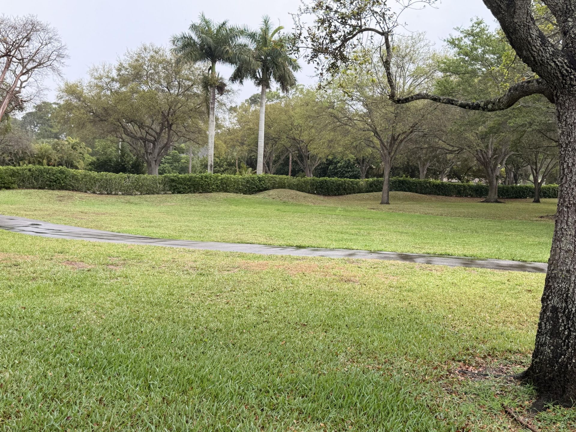 22306 Timberly Drive, Boca Raton, FL 33428 Photo