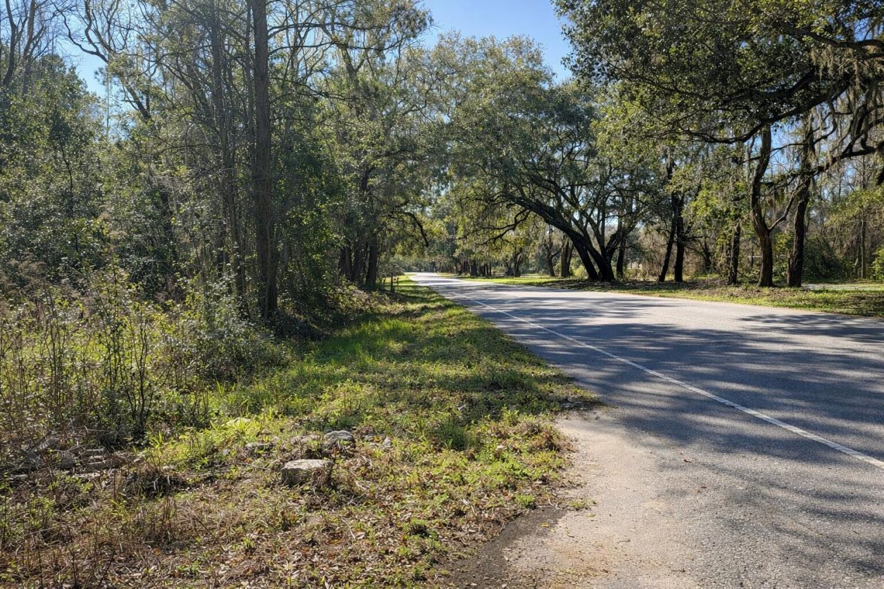 4131 Betsy Kerrison Parkway Photo 10