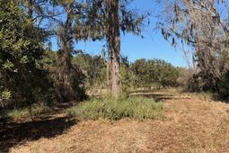 4131 Betsy Kerrison Parkway photo 4