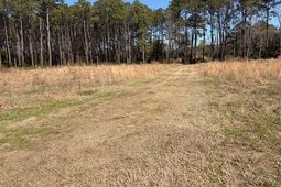 4131 Betsy Kerrison Parkway photo 4