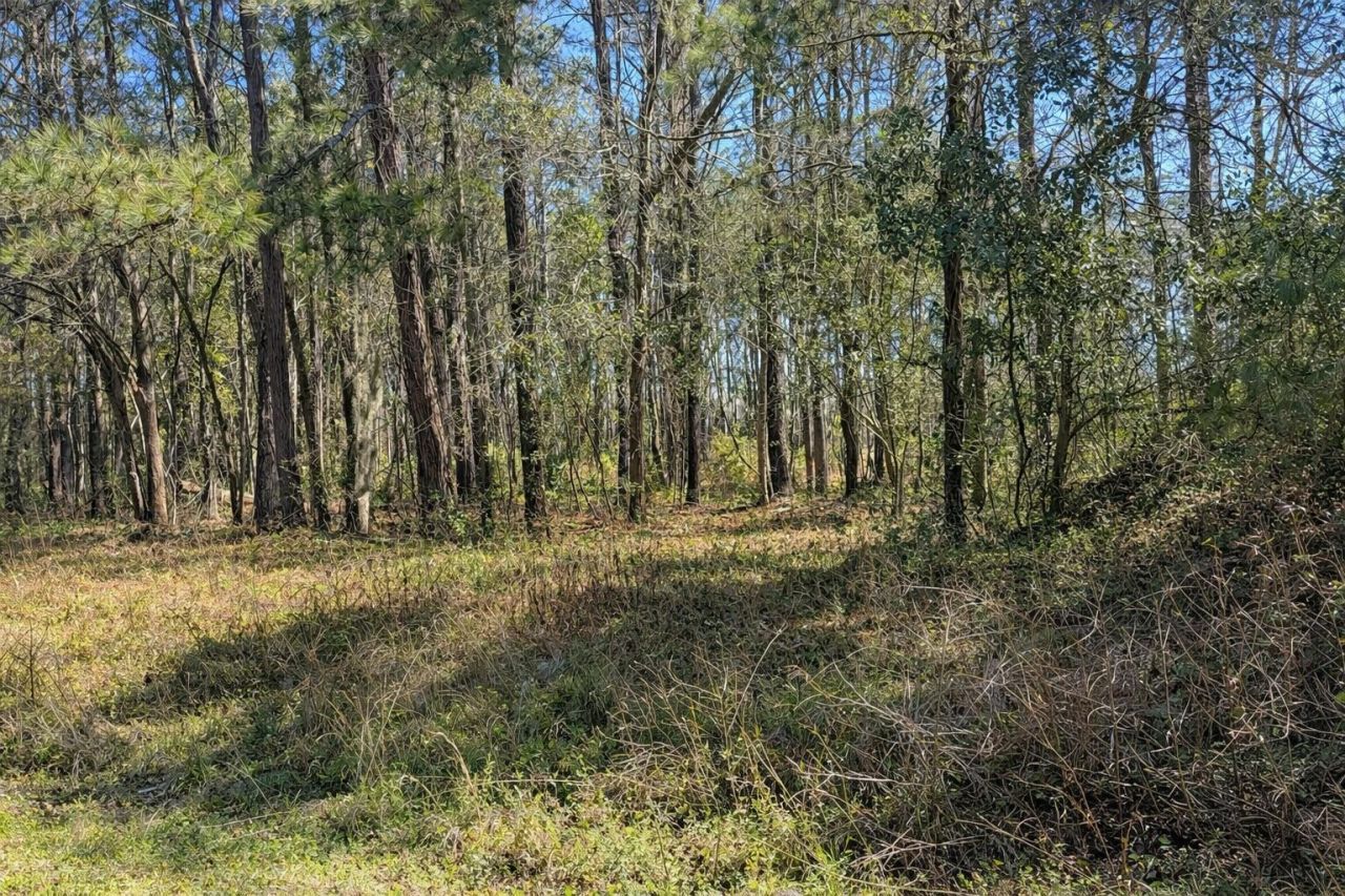 4131 Betsy Kerrison Parkway Photo 8