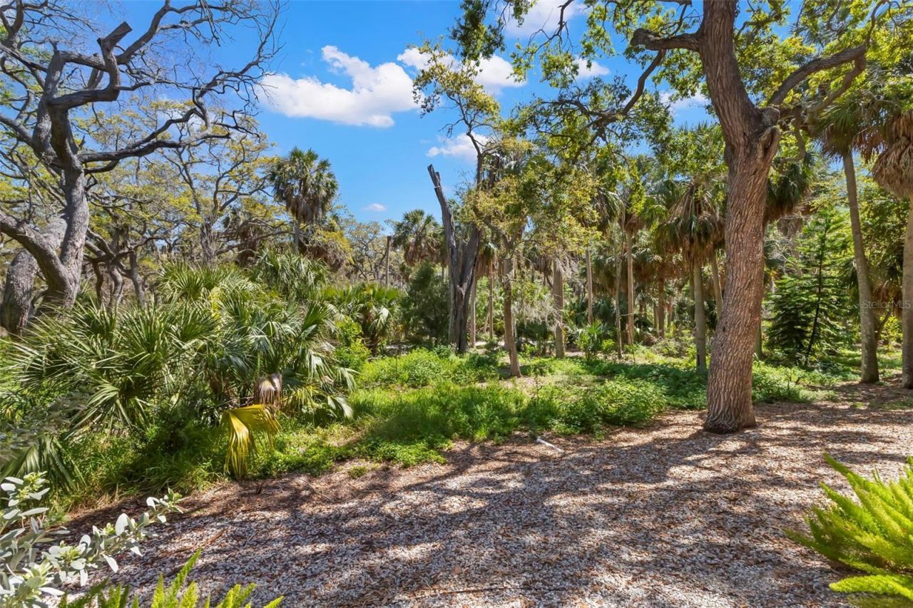 5918 Anchorage Way S, Saint Petersburg, FL 33712 Photo