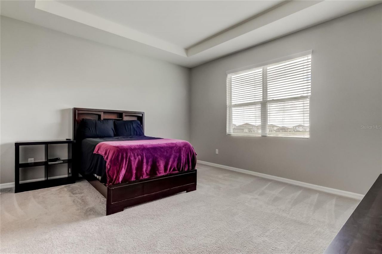 33888 Field Maple Loop, Wesley Chapel, FL 33545 Photo