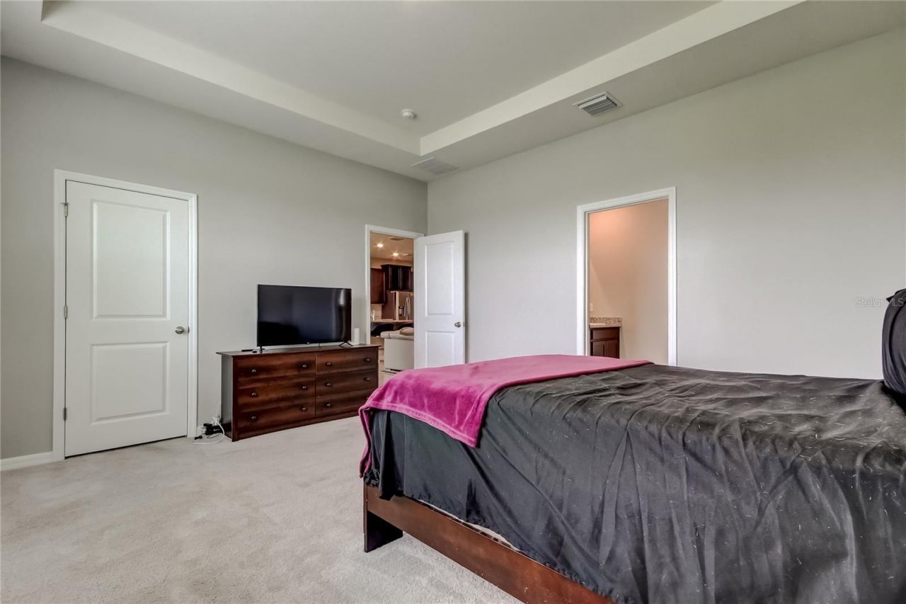 33888 Field Maple Loop, Wesley Chapel, FL 33545 Photo