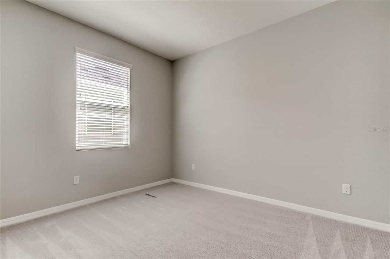 33888 Field Maple Loop, Wesley Chapel, FL 33545 Photo