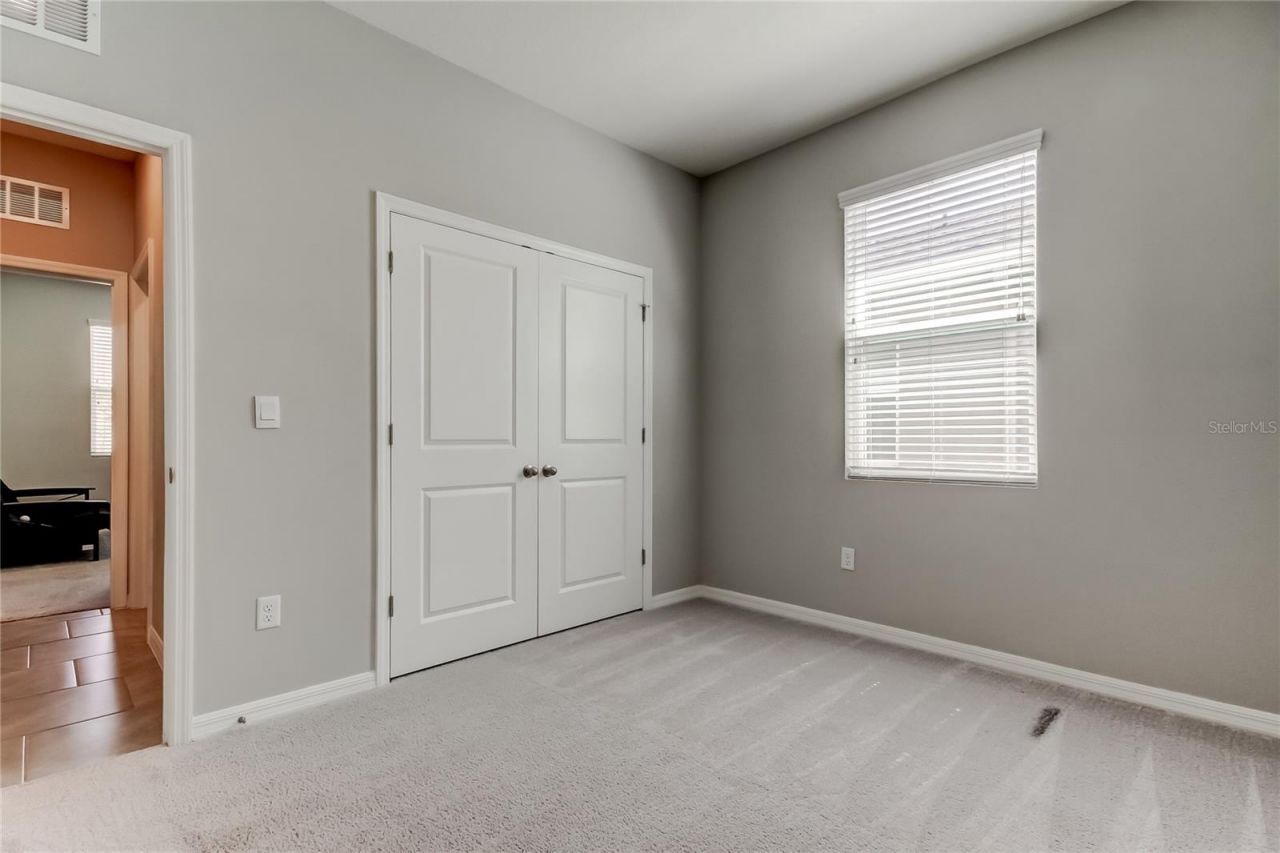 33888 Field Maple Loop, Wesley Chapel, FL 33545 Photo