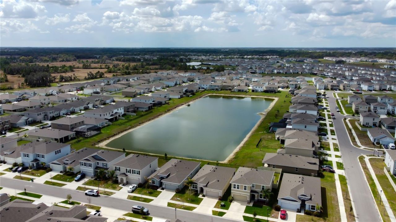 33888 Field Maple Loop, Wesley Chapel, FL 33545 Photo