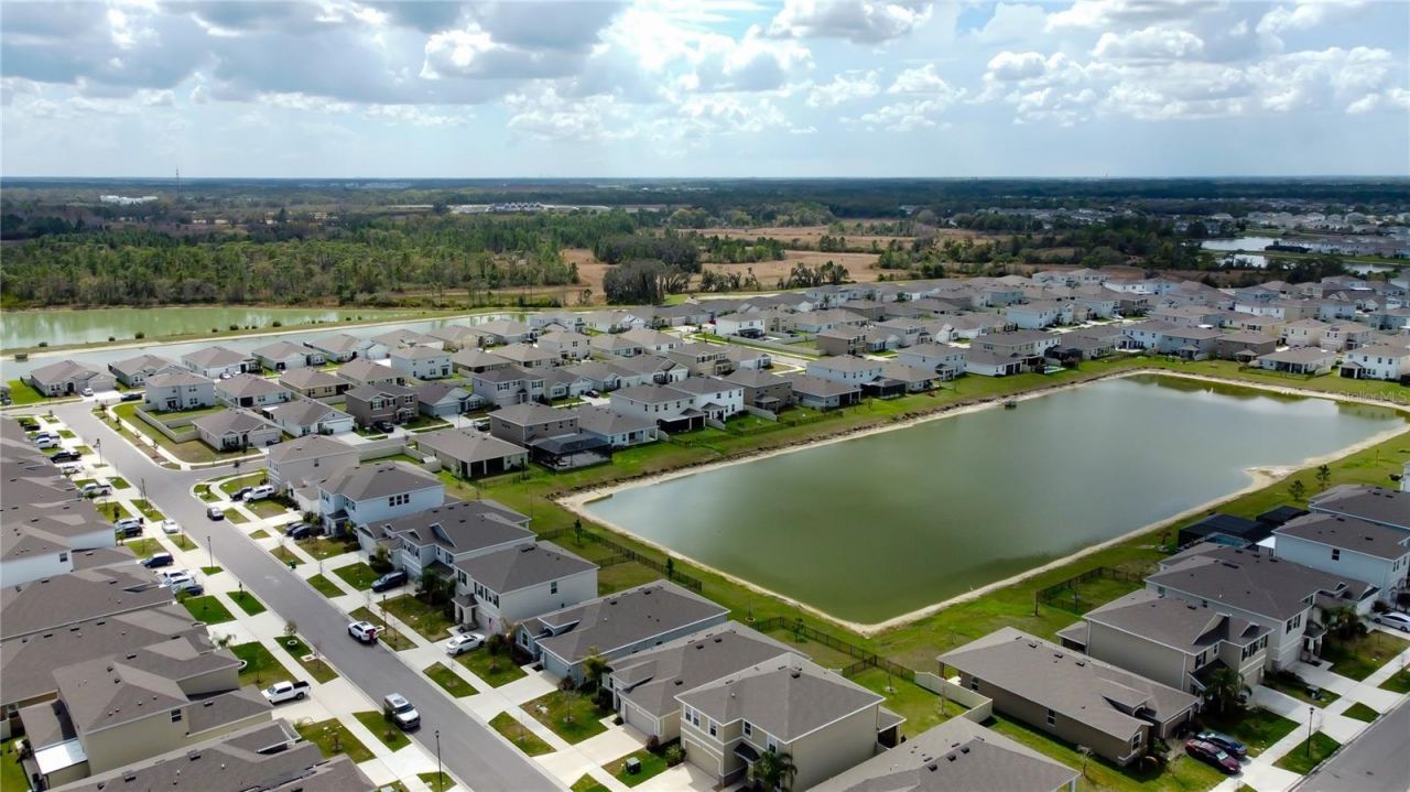 33888 Field Maple Loop, Wesley Chapel, FL 33545 Photo