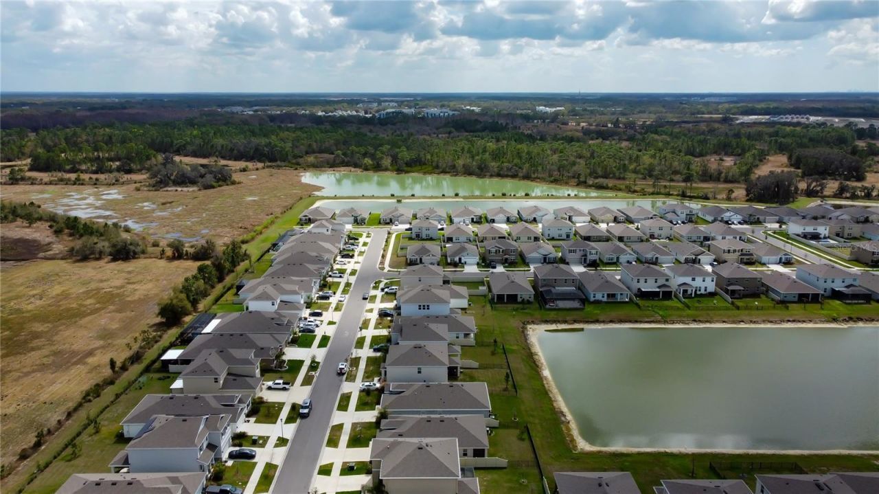 33888 Field Maple Loop, Wesley Chapel, FL 33545 Photo