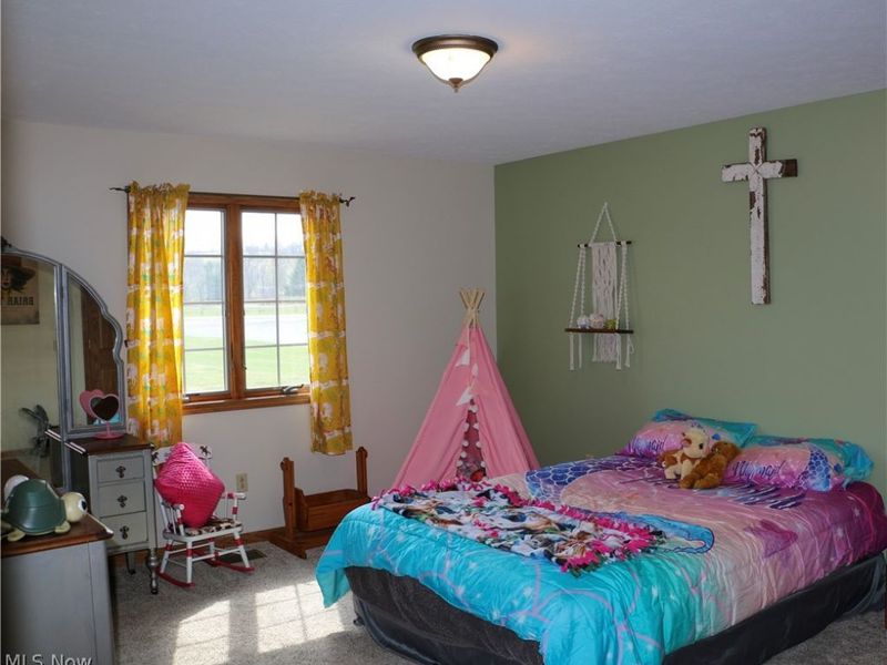 9280 Rochester Road, Minerva, OH 44657 Photo 21