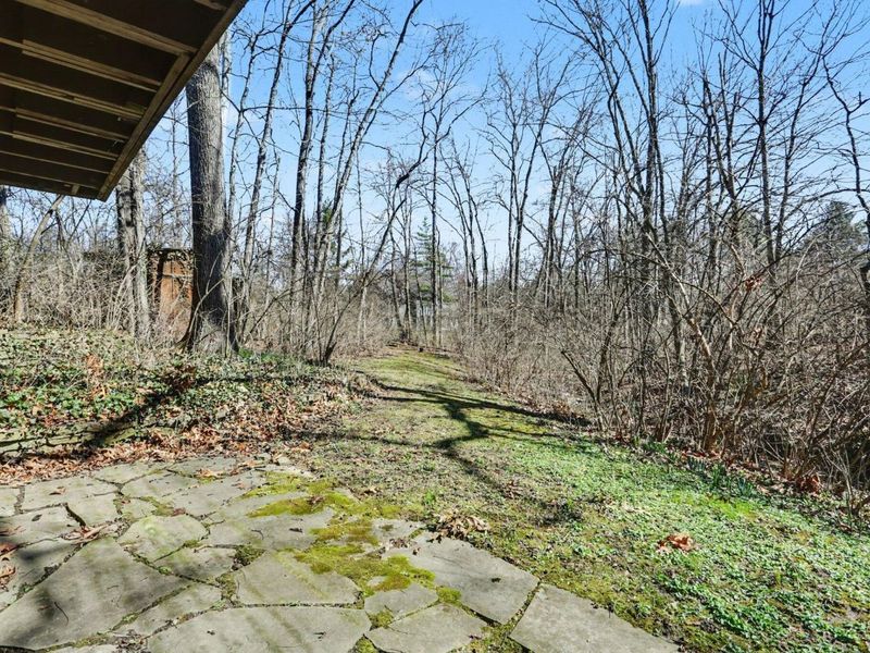 820 Old Woods Road, Columbus, OH 43235 Photo 8