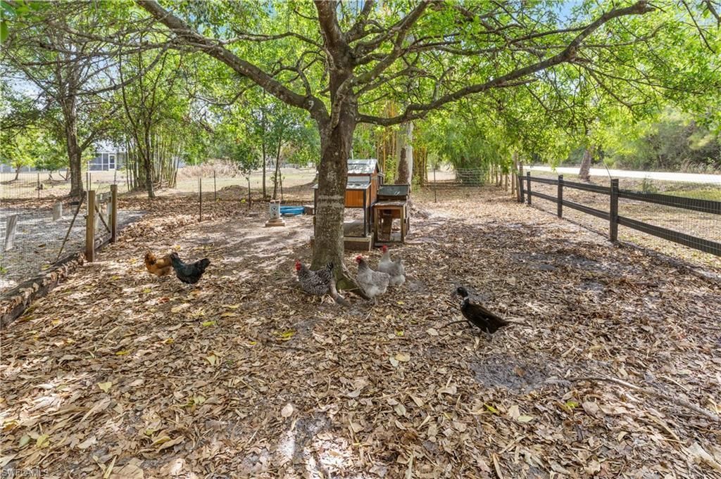 19180 Four Wheel Dr, North Fort Myers, FL 33917 Photo