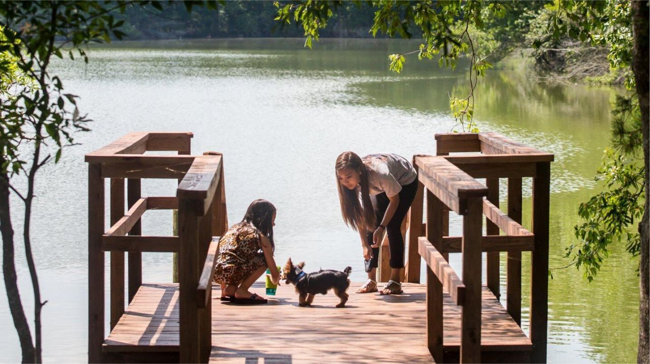 131 Sea Oats Street Photo 29