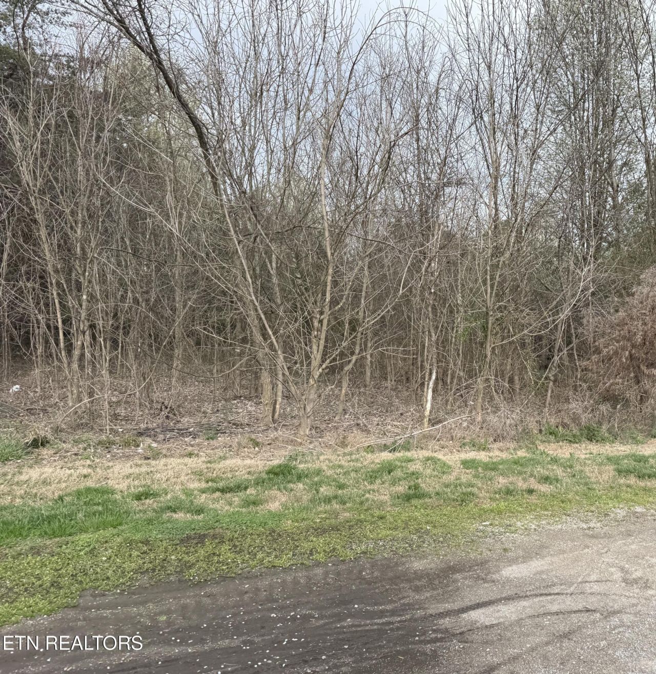 106 Raintree Lane, Kingston, TN 37763 Main Photo