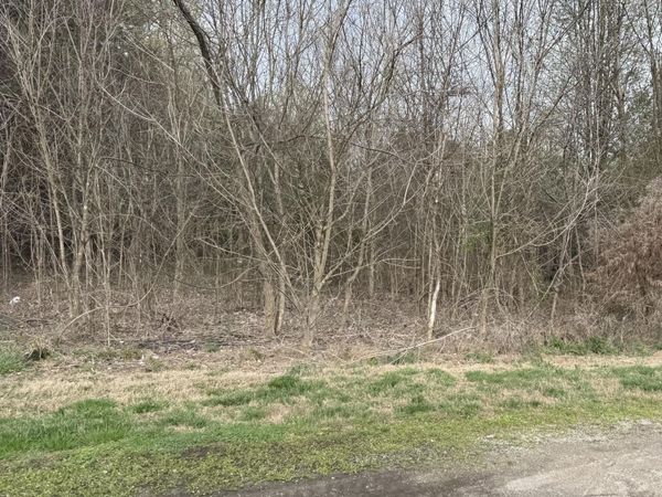 106 Raintree Lane, Kingston, TN 37763