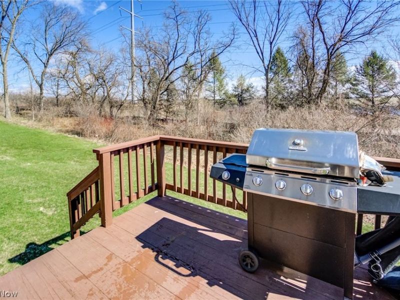 7533 Maplewood Drive, Solon, OH 44139 Photo 40