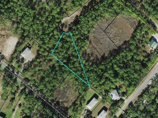 Lots 20&21 Tarpine Drive , Panacea, FL 32346