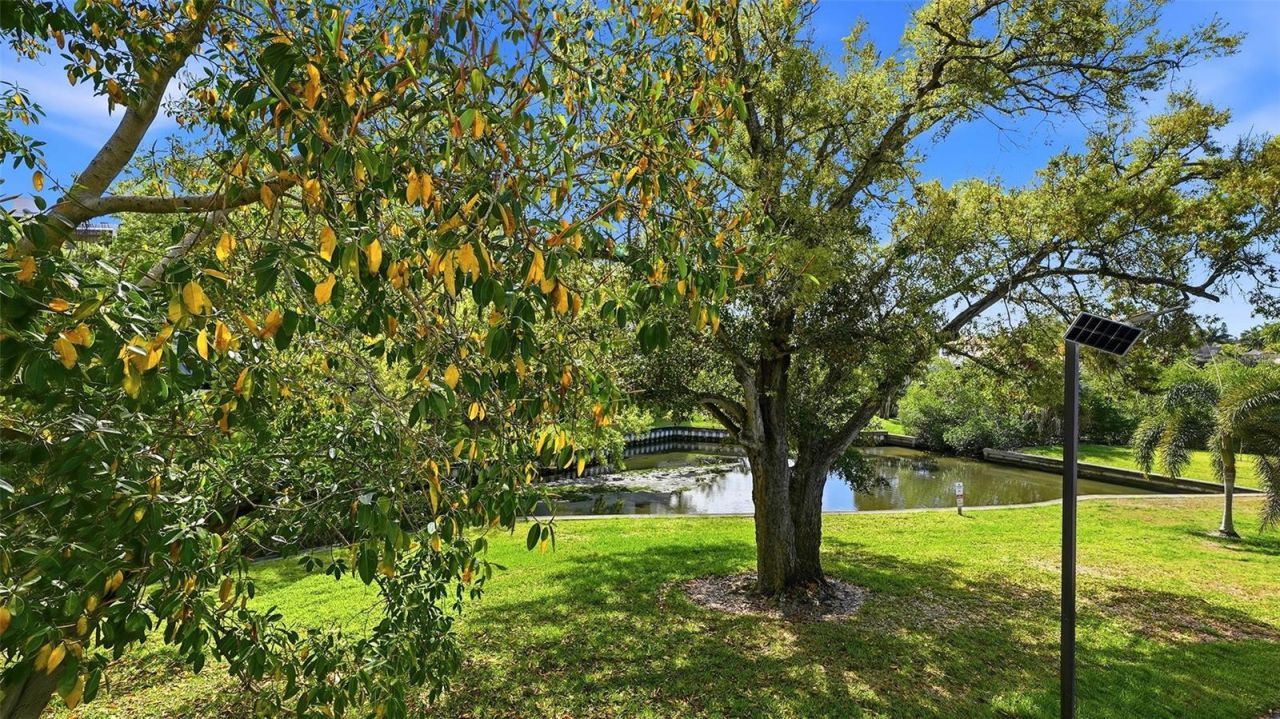 825 S Osprey Avenue, Unit 101, Sarasota, FL 34236 Photo