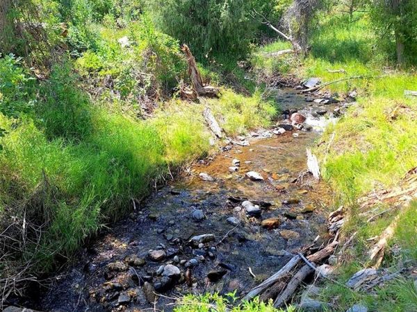 n/a West Creek - CR 48 Road, Howard, CO 81233