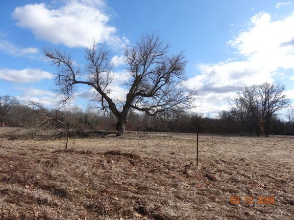 518 S Oak Avenue, White Cloud, MI 49349