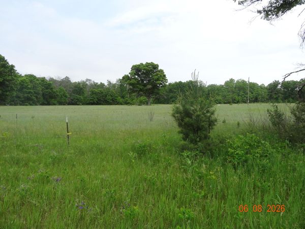 518 S Oak Avenue, White Cloud, MI 49349