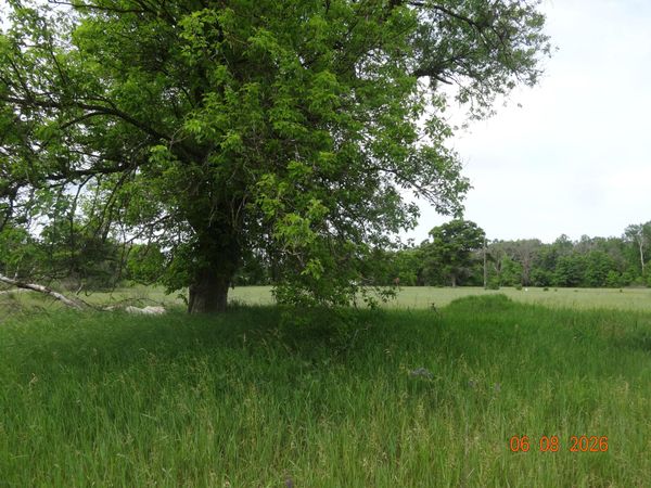 550 S Oak Avenue, White Cloud, MI 49349