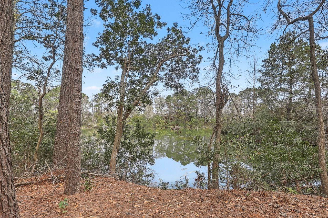 129 Jakes Lane Photo 41