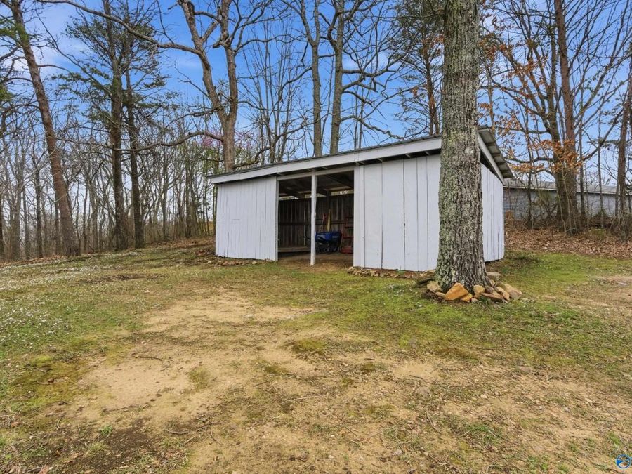 Property Image 39