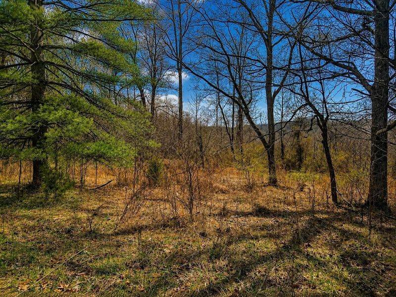 799 Woodruff Road, Vinton, OH 45686 Photo 2