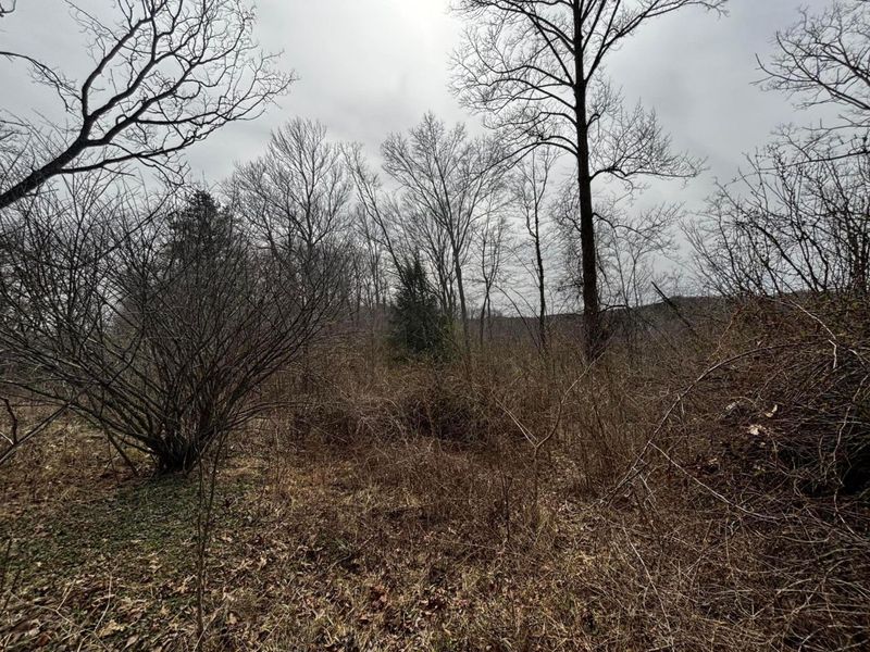 799 Woodruff Road , Vinton, OH 45686 Photo 2