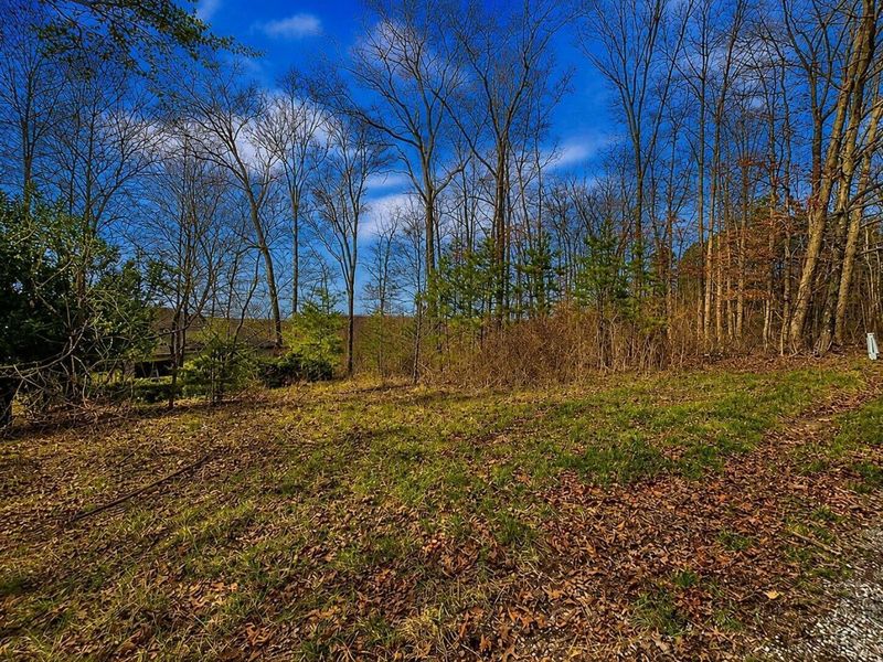 799 Woodruff Road, Vinton, OH 45686 Photo 3
