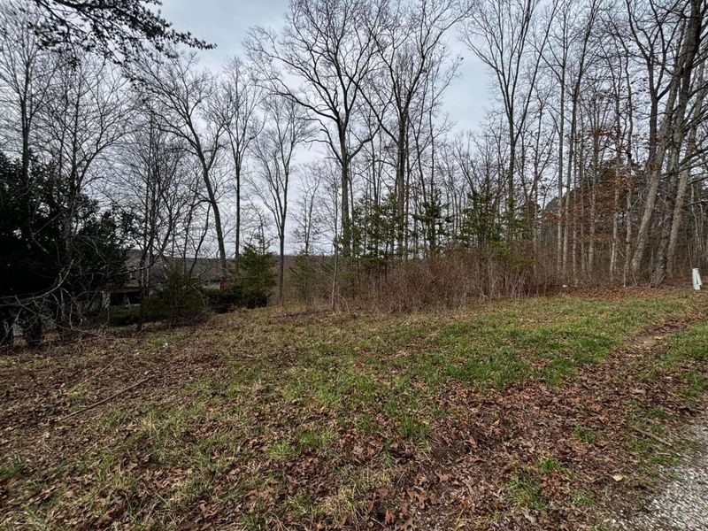 799 Woodruff Road , Vinton, OH 45686 Photo 3