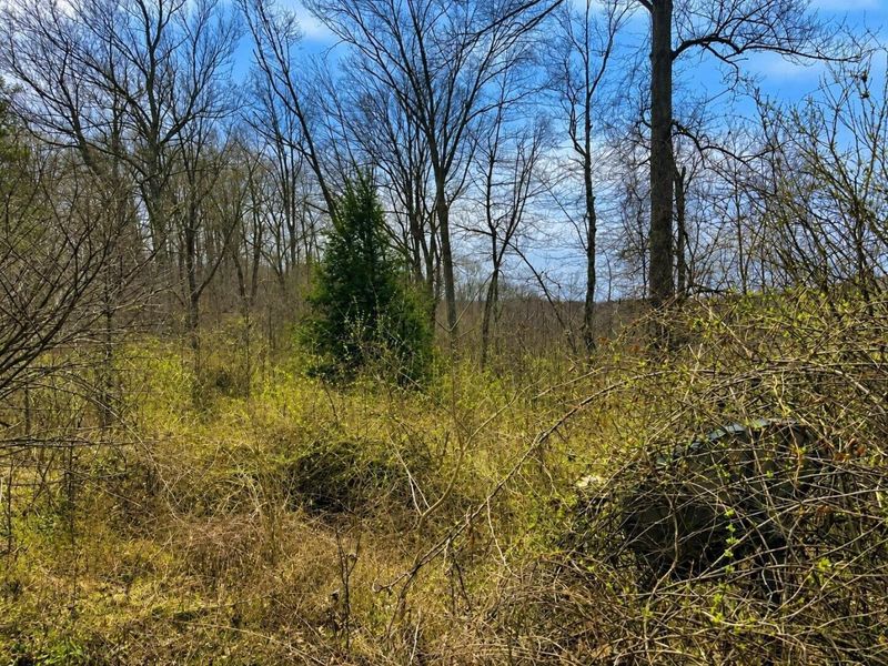 799 Woodruff Road, Vinton, OH 45686 Photo 4