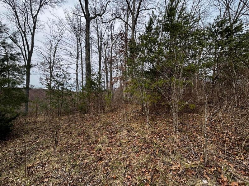 799 Woodruff Road , Vinton, OH 45686 Photo 4