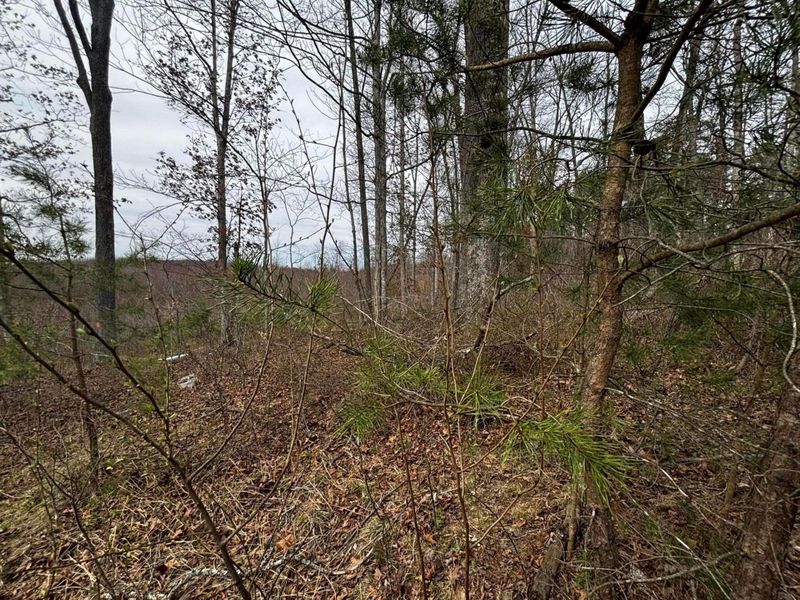 799 Woodruff Road , Vinton, OH 45686 Photo 5