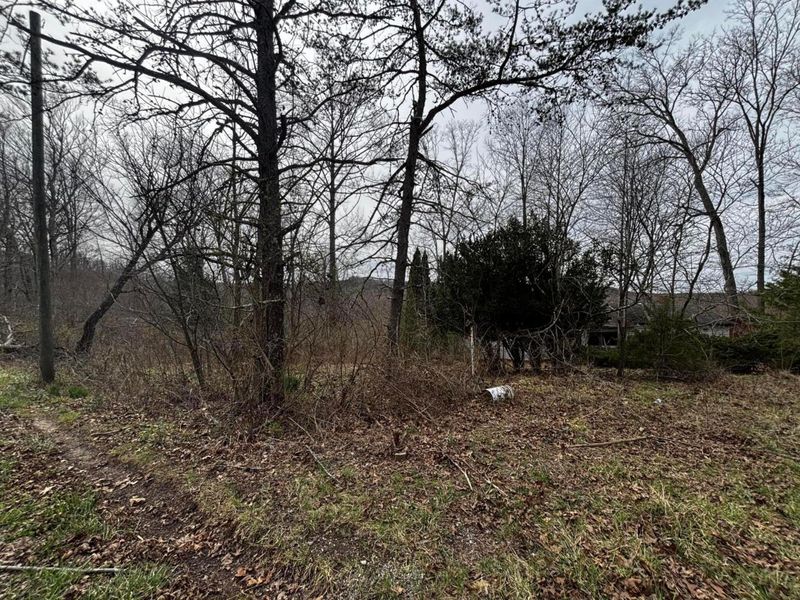 799 Woodruff Road , Vinton, OH 45686 Photo 6