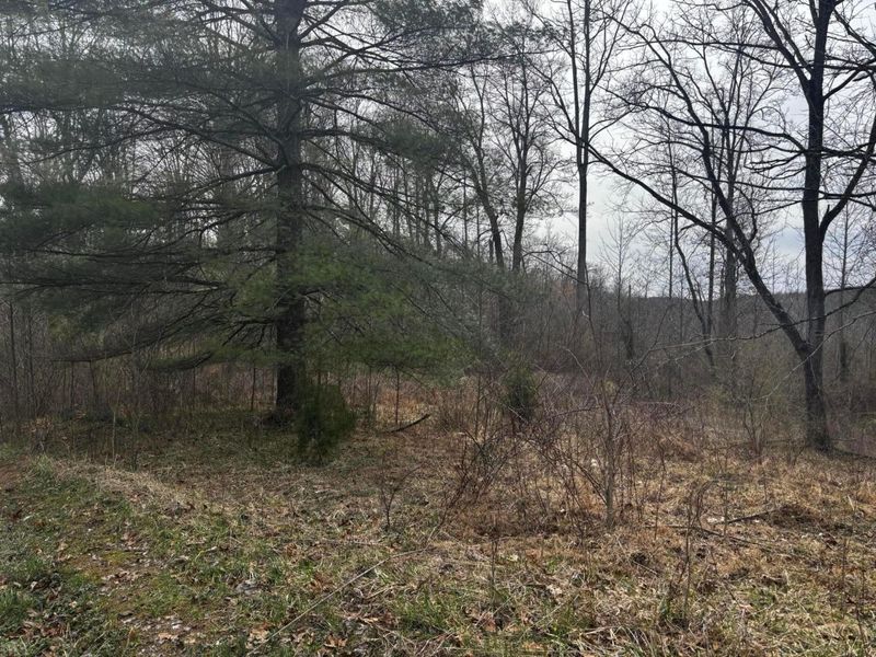 799 Woodruff Road , Vinton, OH 45686 Photo 7