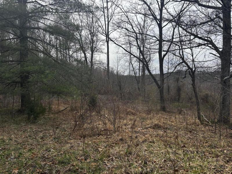 799 Woodruff Road , Vinton, OH 45686 Photo 8