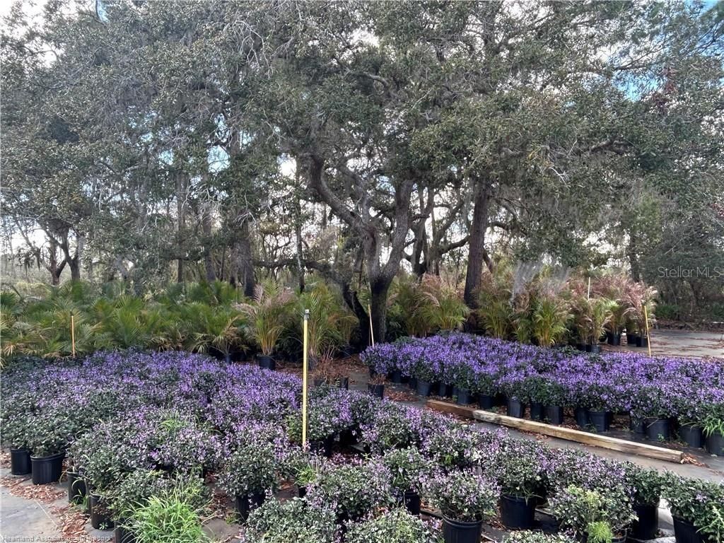 9210 County Road 635 , Sebring, FL 33875 Photo