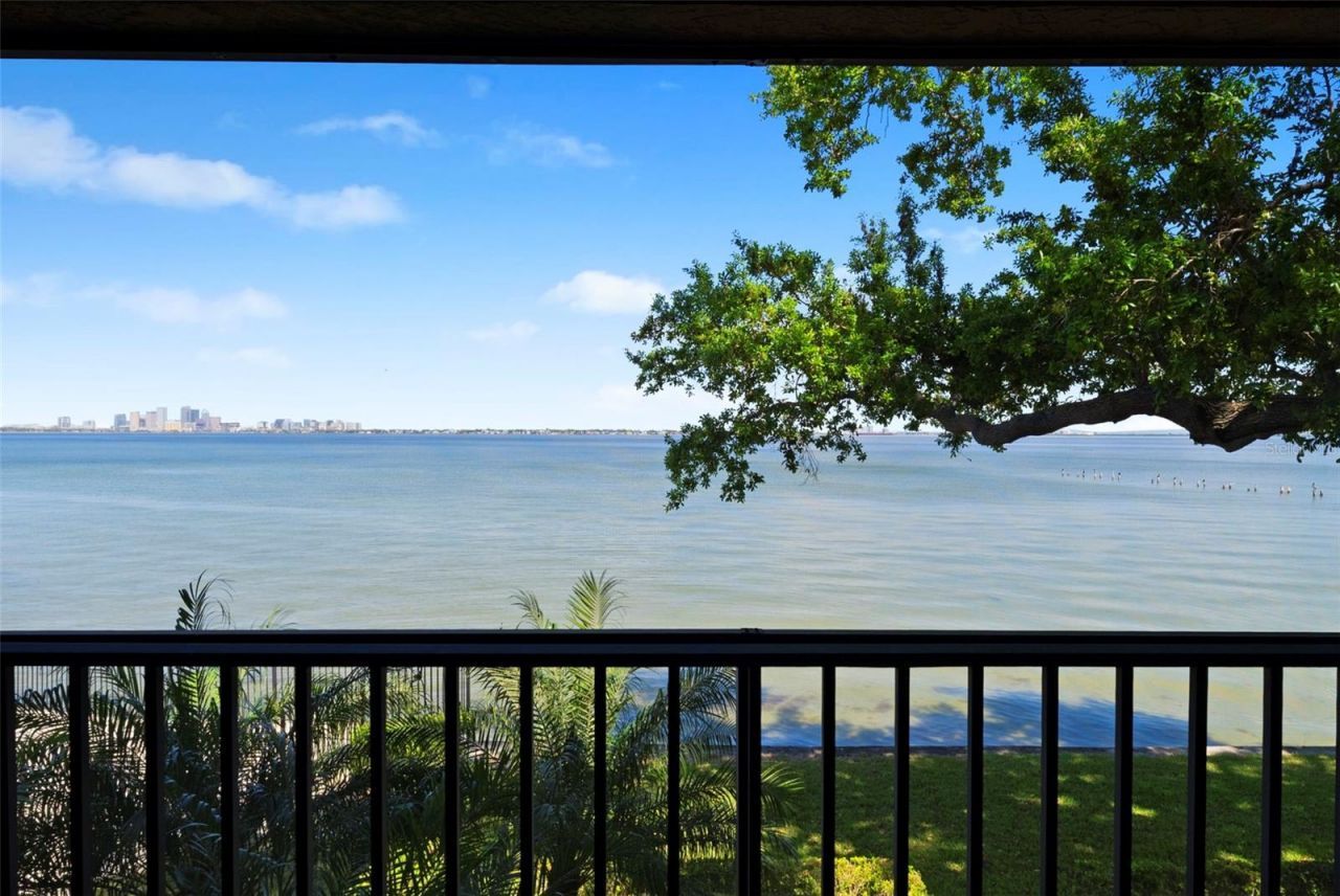 5010 Bayshore Boulevard, Unit 4, Tampa, FL 33611 Photo